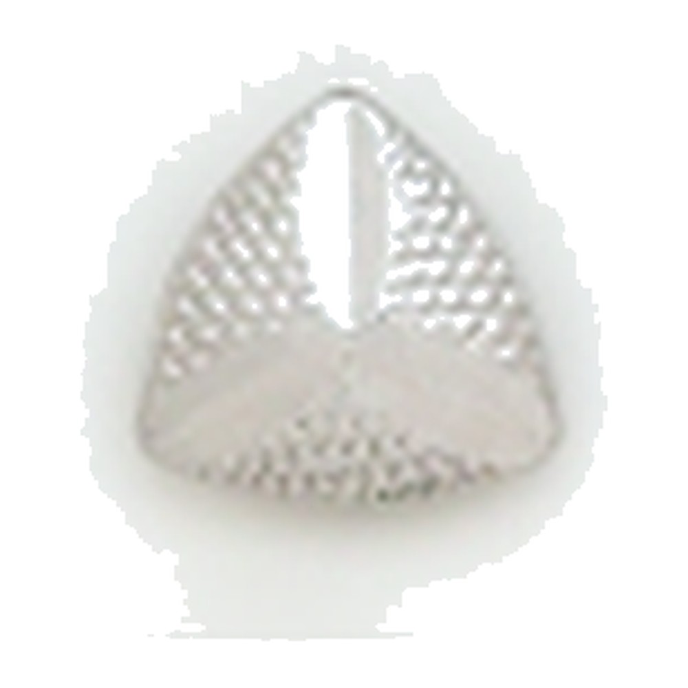 Kury 1281 — Light Weight Earrings