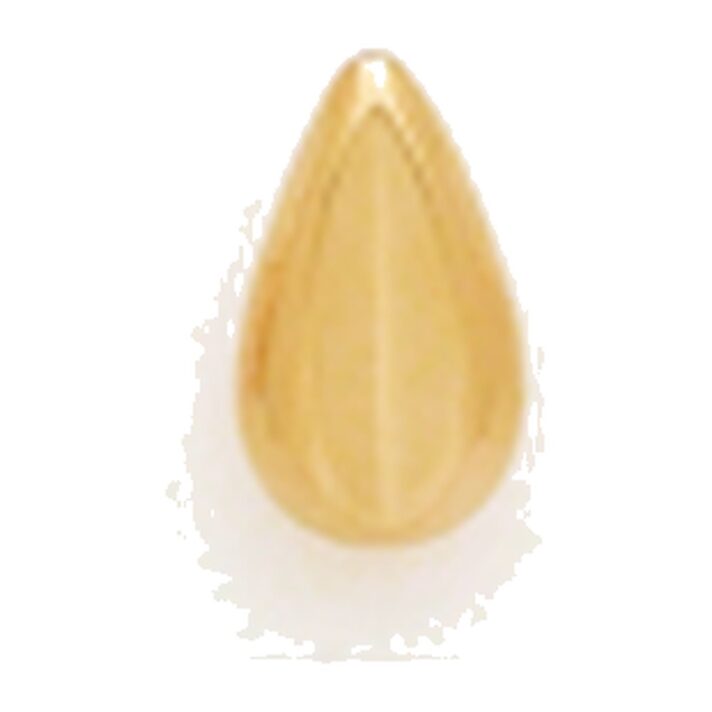 Kury 1285 — Omega Clip Earrings