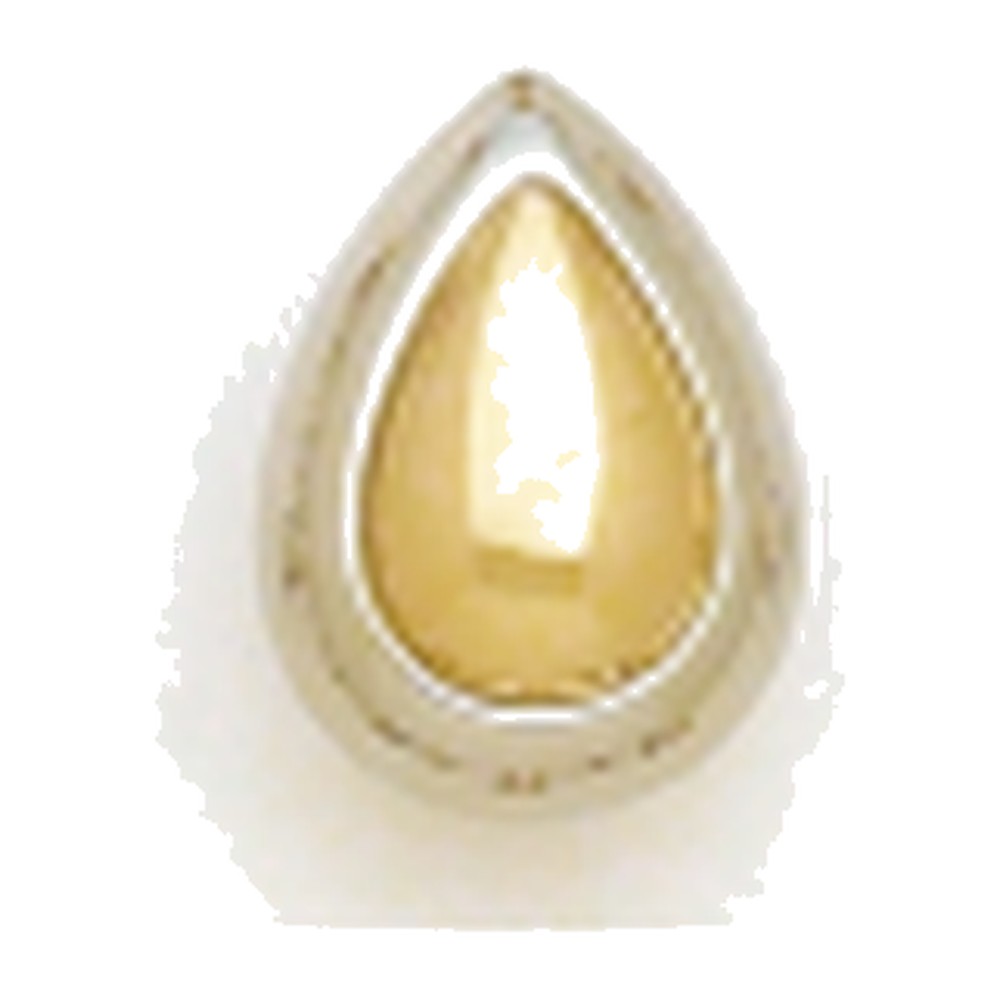 Kury 1776WY — Omega Clip Earrings